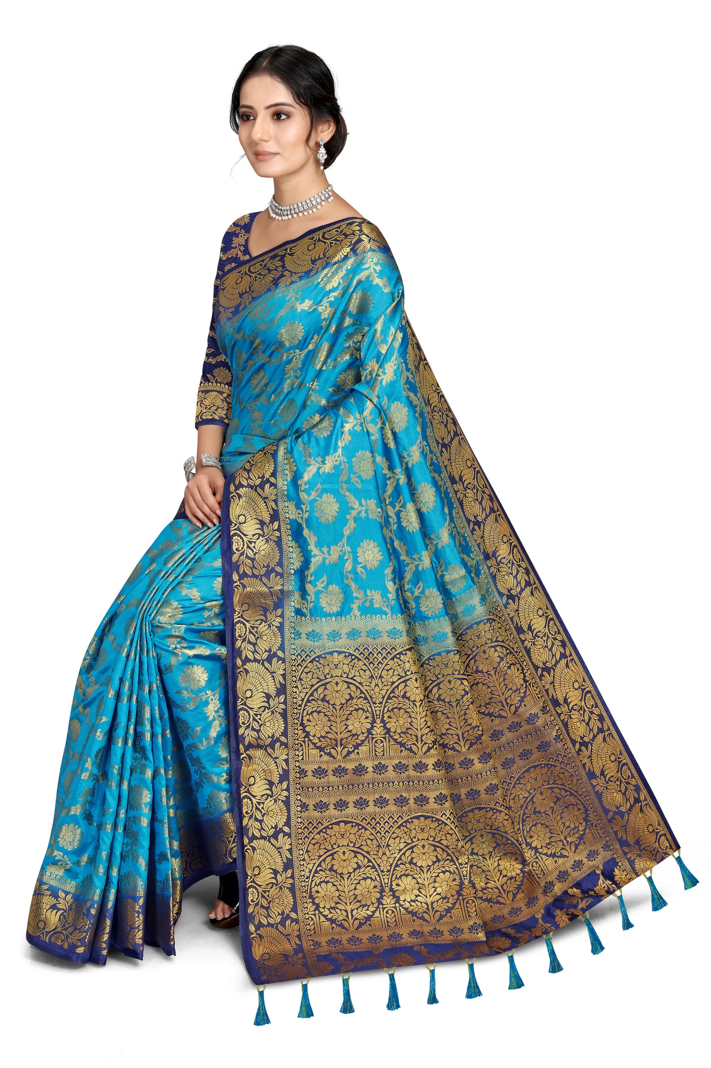 Woven Banarasi Cotton Silk Saree
